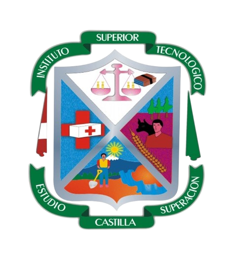 I.E.S.T.P. Castilla